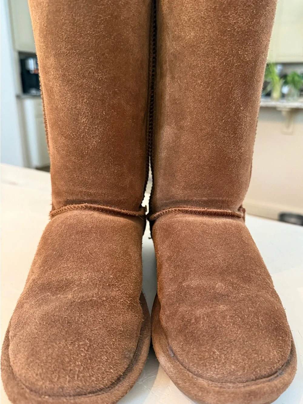 BearPaw Tall Suede Boots in Chestnut
